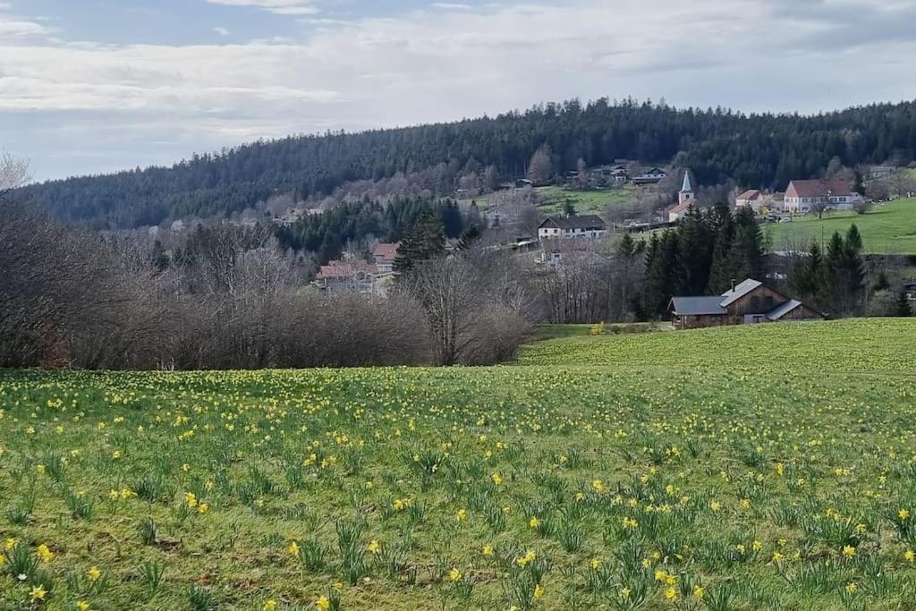 Vila Le Grenier De Jules Et Marguerite Liézey Exteriér fotografie